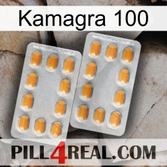 Kamagra 100 cialis4